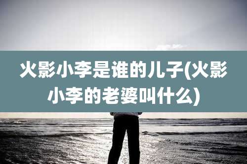 火影小李是谁的儿子(火影小李的老婆叫什么)