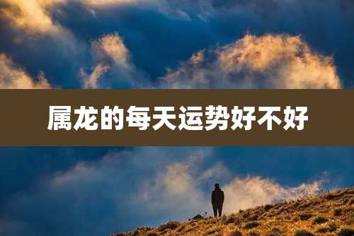 属龙的每天运势好不好
