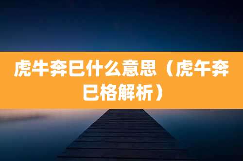 虎牛奔巳什么意思（虎午奔巳格解析）