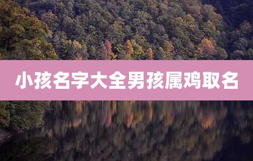 小孩名字大全男孩属鸡取名