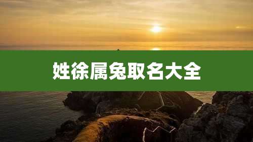 姓徐属兔取名大全