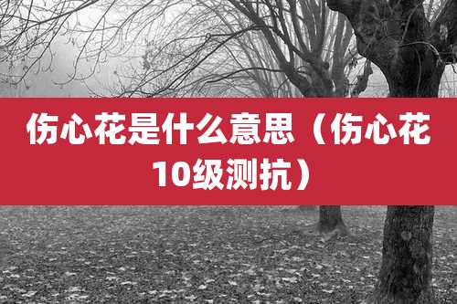 伤心花是什么意思（伤心花10级测抗）