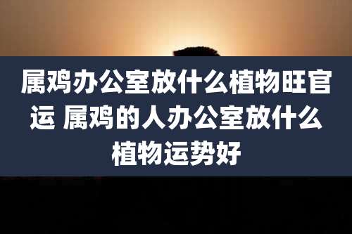属鸡办公室放什么植物旺官运 属鸡的人办公室放什么植物运势好