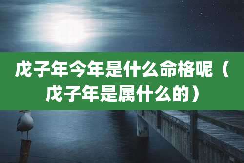 戊子年今年是什么命格呢（戊子年是属什么的）