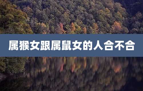 属猴女跟属鼠女的人合不合
