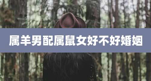 属羊男配属鼠女好不好婚姻