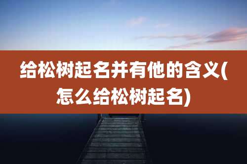 给松树起名并有他的含义(怎么给松树起名)