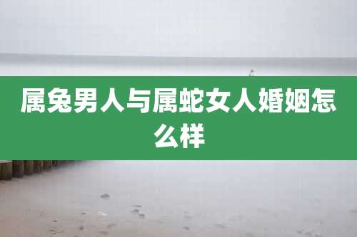 属兔男人与属蛇女人婚姻怎么样