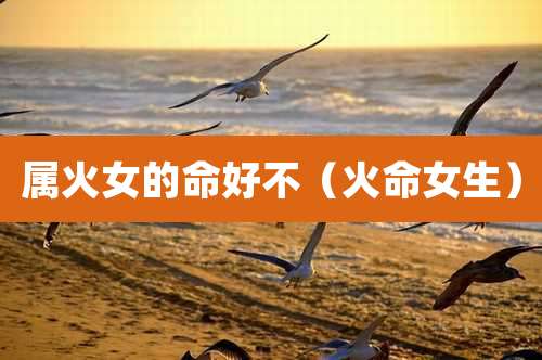 属火女的命好不（火命女生）