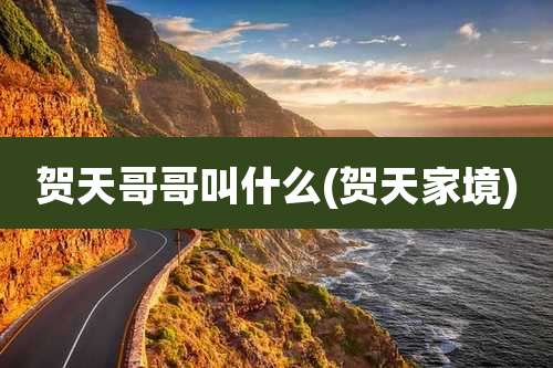 贺天哥哥叫什么(贺天家境)