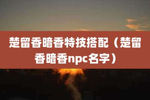 楚留香暗香特技搭配（楚留香暗香npc名字）