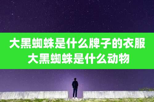 大黑蜘蛛是什么牌子的衣服 大黑蜘蛛是什么动物