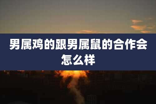男属鸡的跟男属鼠的合作会怎么样