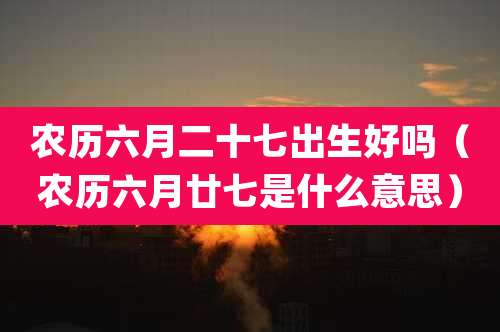 农历六月二十七出生好吗（农历六月廿七是什么意思）