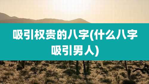 吸引权贵的八字(什么八字吸引男人)