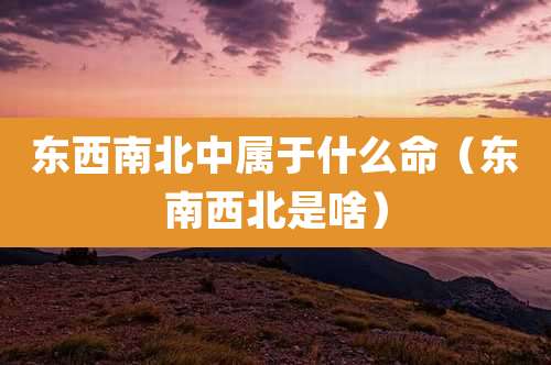东西南北中属于什么命（东南西北是啥）
