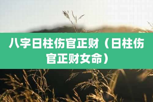 八字日柱伤官正财（日柱伤官正财女命）