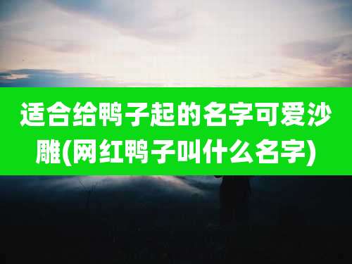 适合给鸭子起的名字可爱沙雕(网红鸭子叫什么名字)