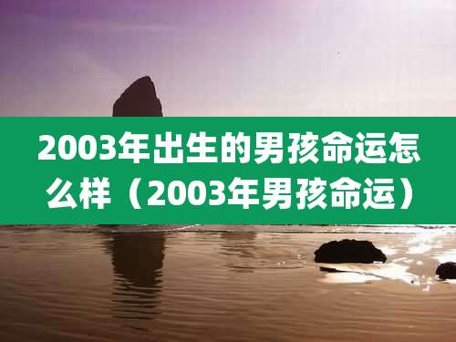 2003年出生的男孩命运怎么样（2003年男孩命运）