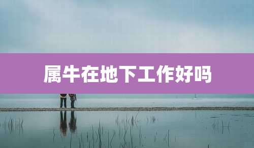 属牛在地下工作好吗