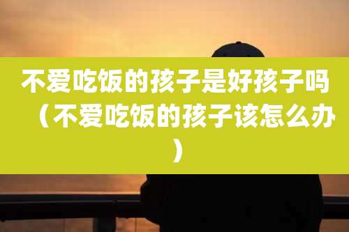 不爱吃饭的孩子是好孩子吗(不爱吃饭的孩子该怎么办)