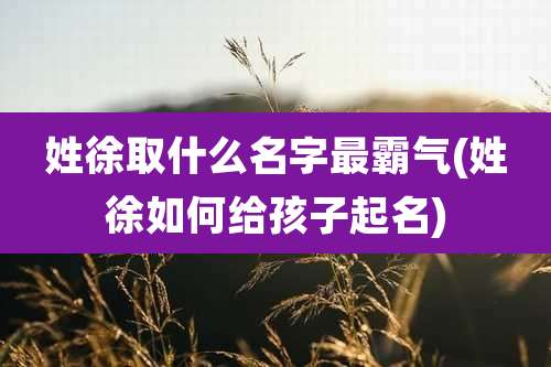 姓徐取什么名字最霸气(姓徐如何给孩子起名)