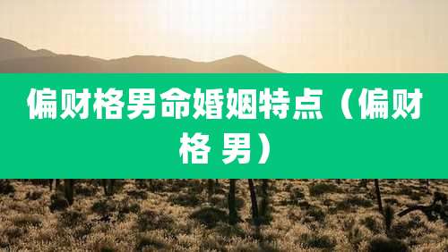 偏财格男命婚姻特点（偏财格 男）