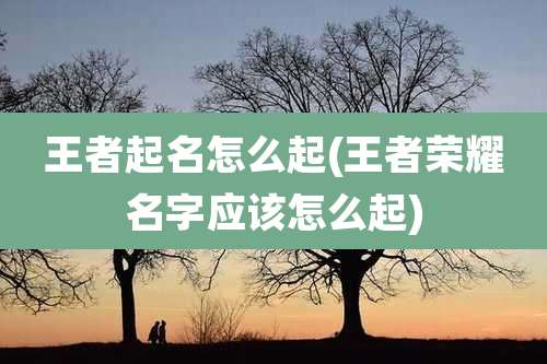 王者起名怎么起(王者荣耀名字应该怎么起)