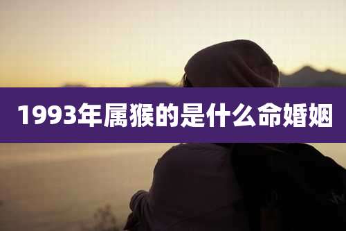 1993年属猴的是什么命婚姻