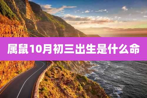 属鼠10月初三出生是什么命