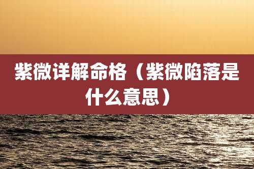 紫微详解命格（紫微陷落是什么意思）