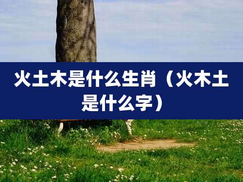 火土木是什么生肖(火木土是什么字)