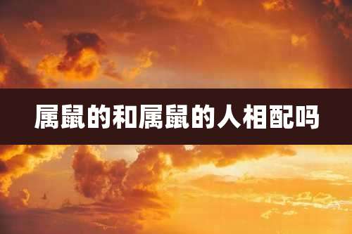 属鼠的和属鼠的人相配吗