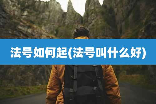 法号如何起(法号叫什么好)