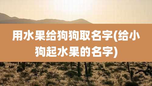 用水果给狗狗取名字(给小狗起水果的名字)