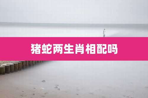 猪蛇两生肖相配吗