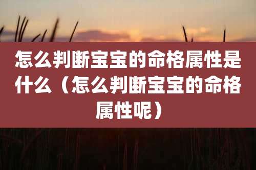 怎么判断宝宝的命格属性是什么（怎么判断宝宝的命格属性呢）
