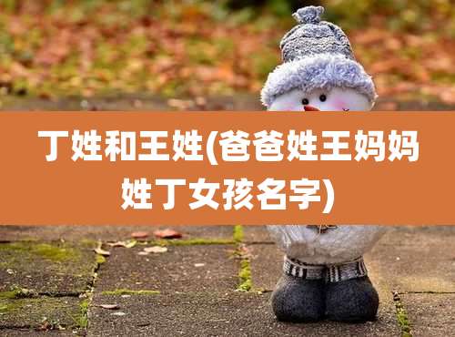 丁姓和王姓(爸爸姓王妈妈姓丁女孩名字)