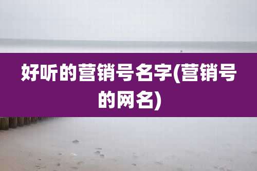 好听的营销号名字(营销号的网名)