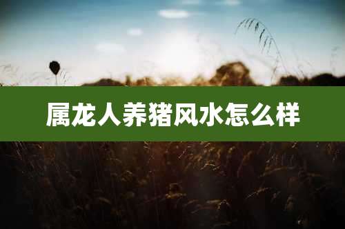 属龙人养猪风水怎么样