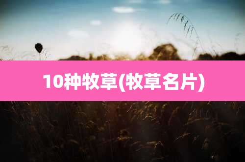 10种牧草(牧草名片)