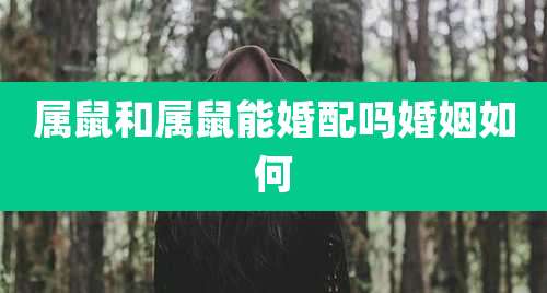 属鼠和属鼠能婚配吗婚姻如何