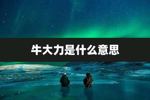 牛大力是什么意思