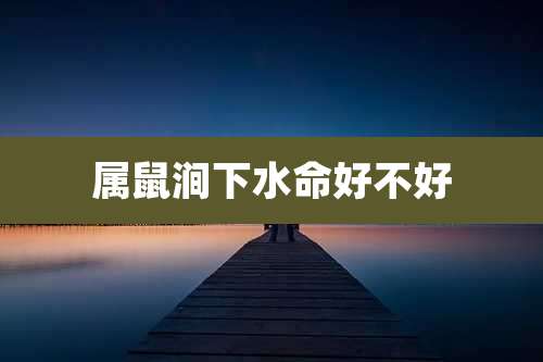 属鼠涧下水命好不好