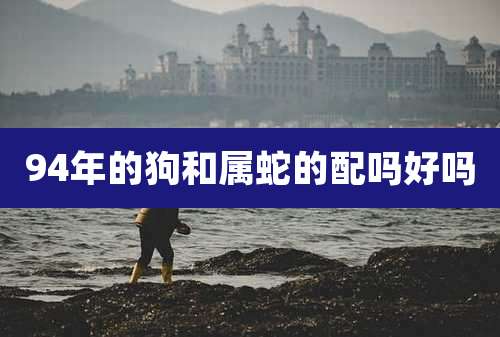 94年的狗和属蛇的配吗好吗