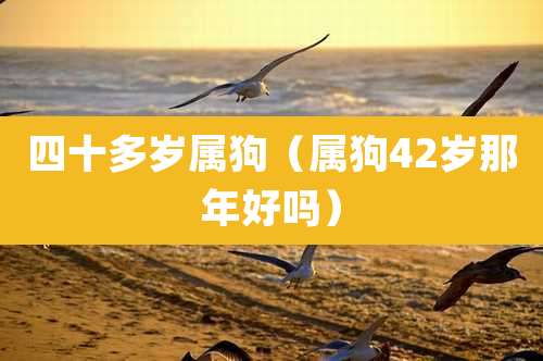 四十多岁属狗（属狗42岁那年好吗）