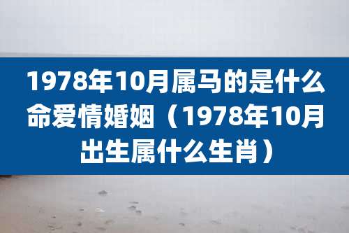 1978年10月属马的是什么命爱情婚姻（1978年10月出生属什么生肖）