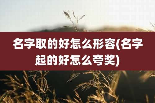 名字取的好怎么形容(名字起的好怎么夸奖)