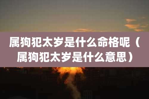 属狗犯太岁是什么命格呢（属狗犯太岁是什么意思）