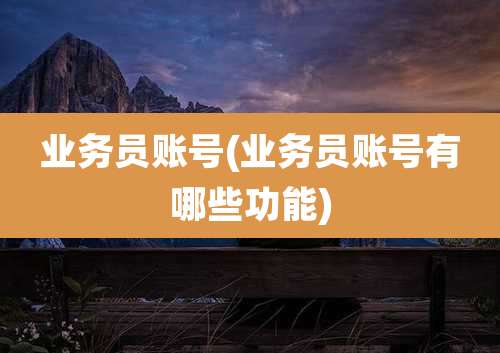 业务员账号(业务员账号有哪些功能)